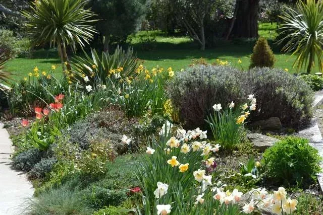 Le jardin en fleur